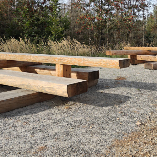 Twee hele grote picknicksets met een organische vormgeving, geïntegreerde fietsstal-plek en ligbed in openbare ruimte.